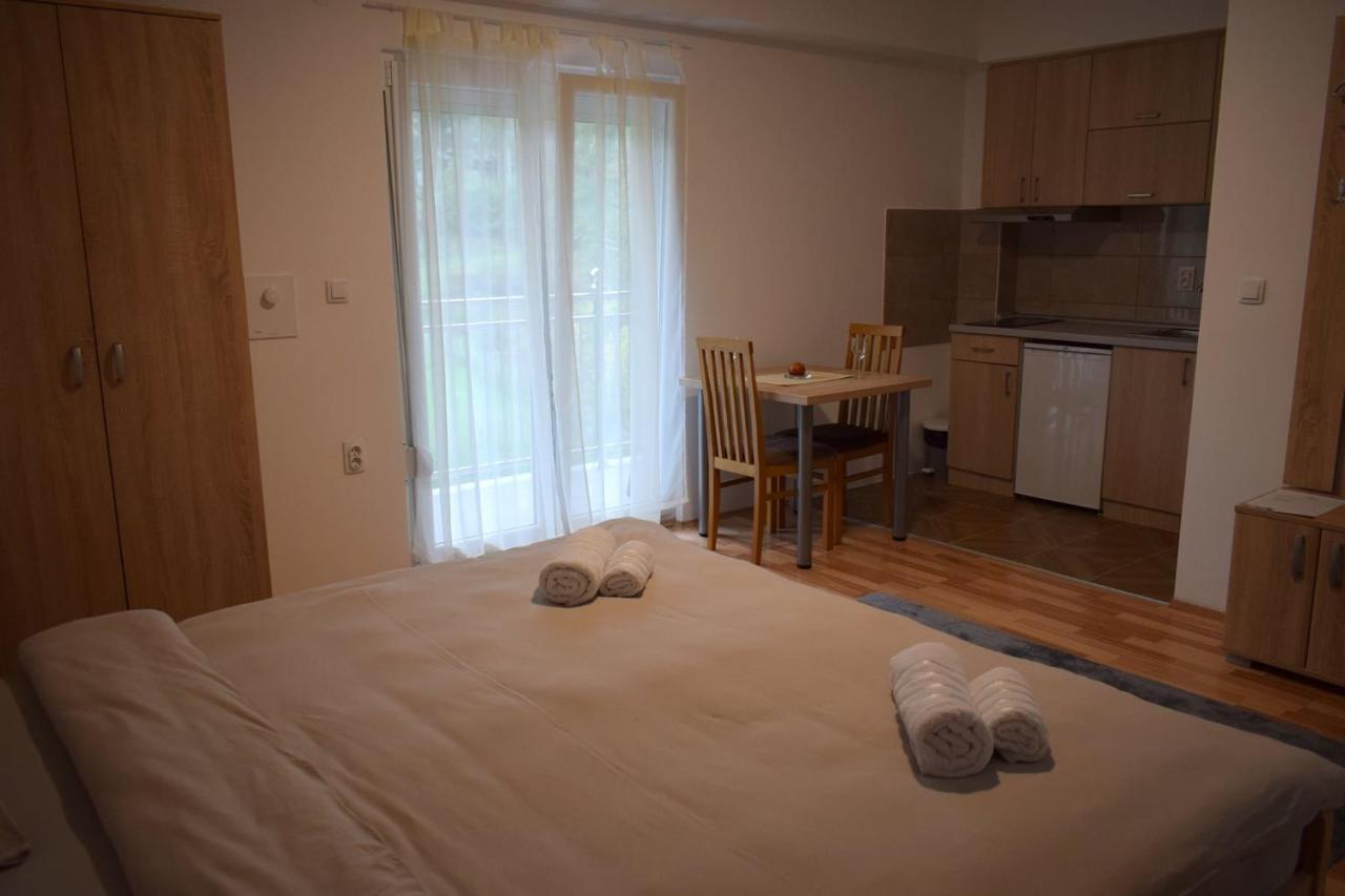 Apartmani & Spa Matin Breg Josanicka Banja 外观 照片